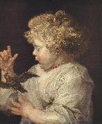 RUBENS, Pieter Pauwel Boy with Bird painting